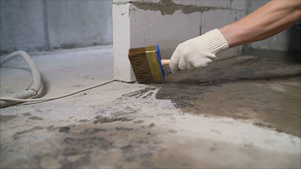 24/7 Emergency Crawl Space Encapsulation experts in East Leroy, MI